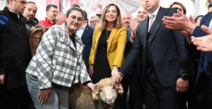 Trakya’nın İlk Küçükbaş Hayvancılık Festivali Malkara’da Başladı: Üreticiye Koç Teslimi ve Renkli Etkinlikler
