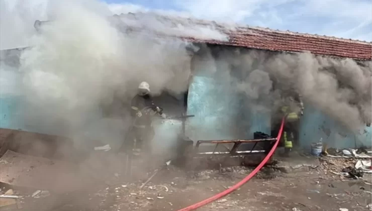 Çorlu’da Yangın ve Sokak Köpeği Saldırısı: 11 Yaşındaki Çocuk Yaralandı