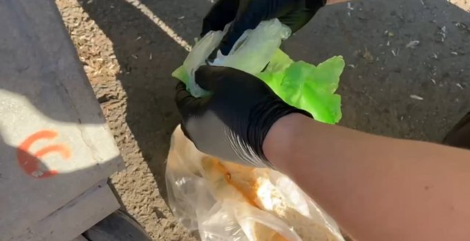 EKMEĞİN İÇİNDEN UYUŞTURUCU ÇIKTI! TEKİRDAĞ’DA 23 ZEHİR TACİRİ TUTUKLANDI