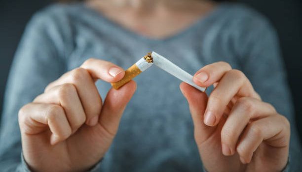 SİGARA BIRAKMA MÜCADELESİNDE YENİ DÖNEM: AKADEMİ KURULDU