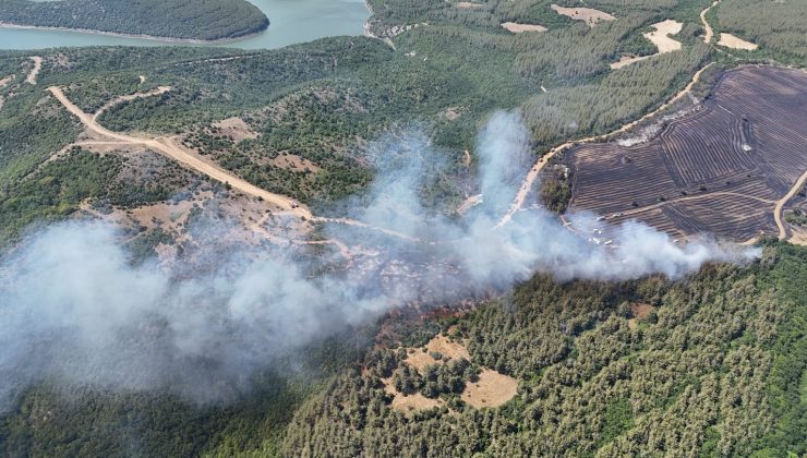 Başkan Yüceer’den Şarköy’deki Yangın Bölgesine Geçmiş Olsun Mesajı