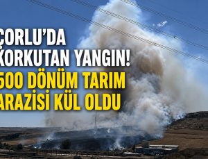 Çorlu’da Korkutan Yangın! 500 Dönüm Tarım Arazisi Kül Oldu