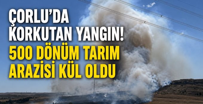 Çorlu’da Korkutan Yangın! 500 Dönüm Tarım Arazisi Kül Oldu