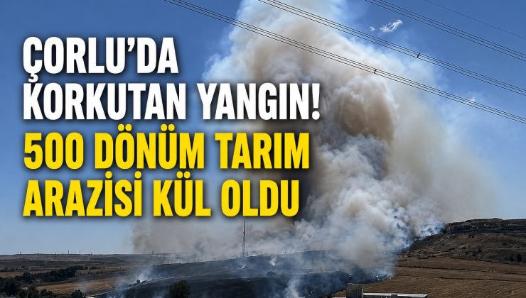 Çorlu’da Korkutan Yangın! 500 Dönüm Tarım Arazisi Kül Oldu